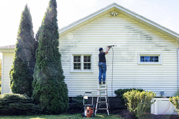 Best Soft Washing  in Columbus Junction, IA